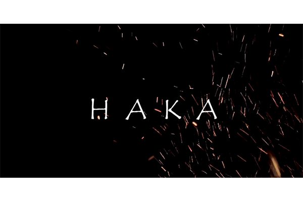 HAKA equipo